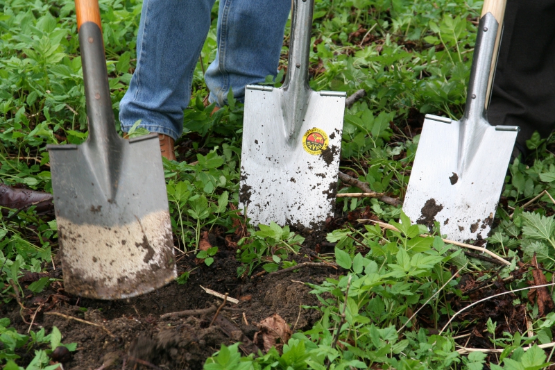 pepiniere-BANDOL-min_work-lawn-flower-tool-green-backyard-1103633-pxhere.com